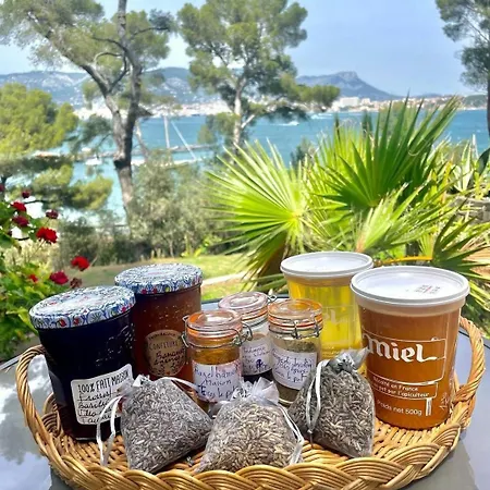 Les Terrasses Tamaris Les Sablettes La Seyne-sur-Mer