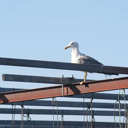 Les Terrasses Tamaris Les Sablettes Nocleg ze śniadaniem